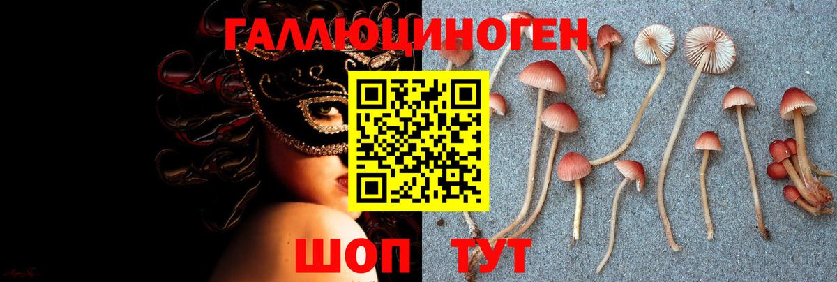 Рубцовск  Галлюциногенные грибы MAGIC MUSHROOMS  Псилоцибиновые грибы GOLDEN TEACHER  купить наркоту  Вход с VPN 